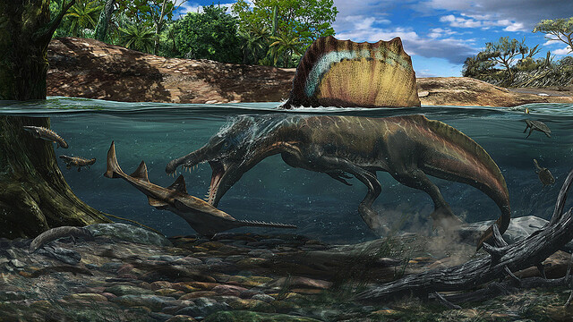 地球最大の肉食恐竜スピノサウルスは、水中にも適応した最恐ハンターだったらしい
