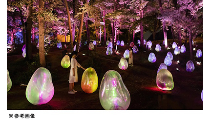 常設展「チームラボ ボタニカルガーデン 大阪」今夏オープン！ 長居植物園の夜を彩る