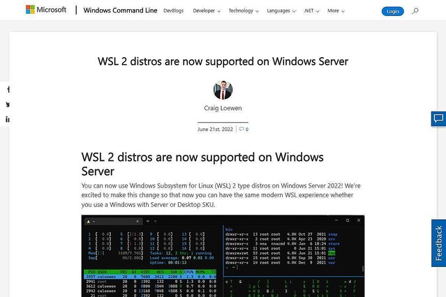 Windows Server 2022、WSL 2に正式対応
