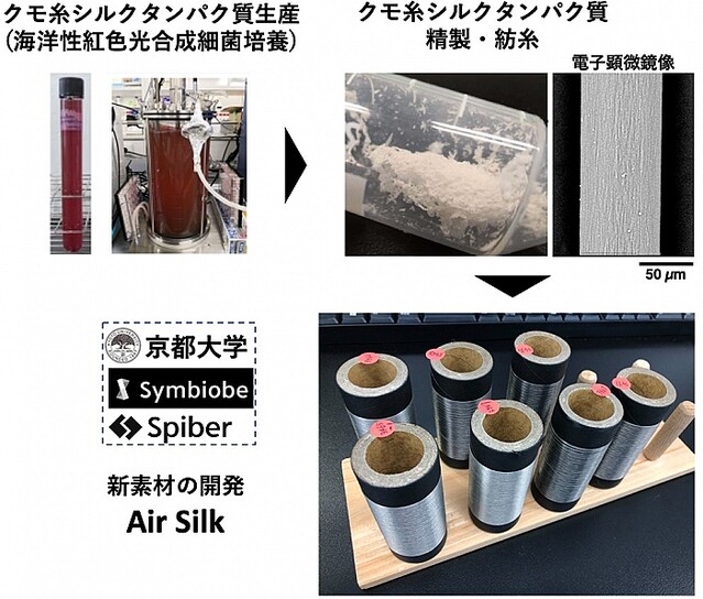 化学繊維に代るクモ糸シルクタンパク質繊維を開発 ゼロカーボンへ前進 京大ら