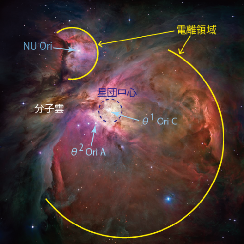 オリオン座大星雲内部の星団形成、シミュレーションで原因明らかに 東大ら