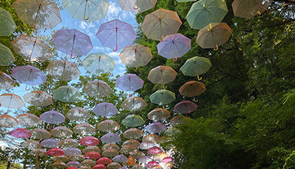 カラフルな傘が浮かぶ「軽井沢アンブレラスカイ 2022」「ムーミン谷とアンブレラ」は7月中旬まで開催中！