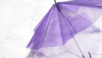 雨の日に身近な傘、平均何本持っている？ 雨具の人気ランキングも