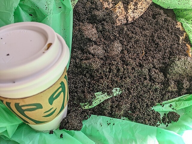 カフェでもらった“コーヒーかす”でガーデニングのためのいい土をつくろう！