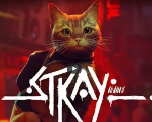 猫もだまされる猫ゲー『Stray』はなぜ大ブレイクしたのか？
