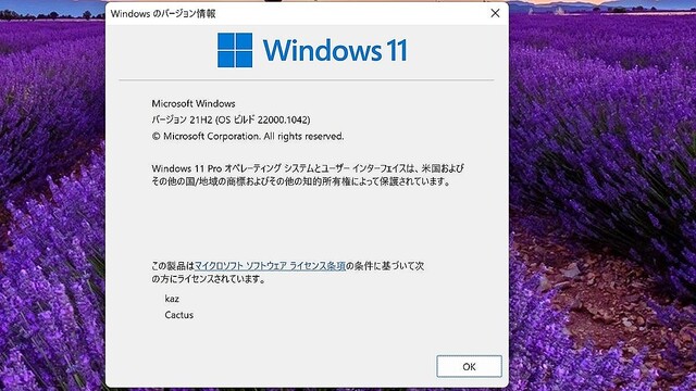 Windows 11ミニTips 第122回 Windows 11 22H2へ手動アップグレードする方法