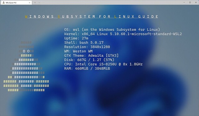 Windows Subsystem for Linuxガイド 第10回 WSLネットワーク編