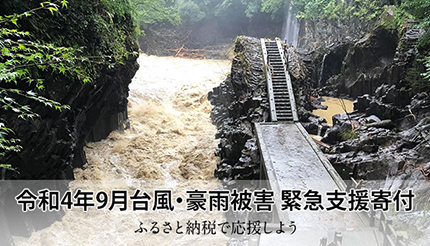 さとふるが静岡県の川根本町と森町の寄付を受け付け、台風・豪雨被害の緊急支援サイトで