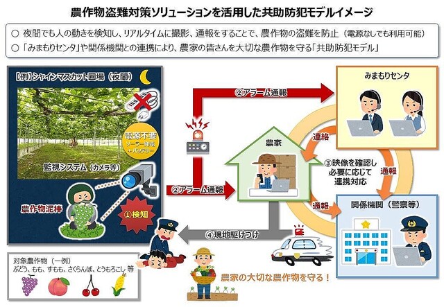 NTT東日本、ICTを活用した農作物盗難対策ソシューションの実証実験