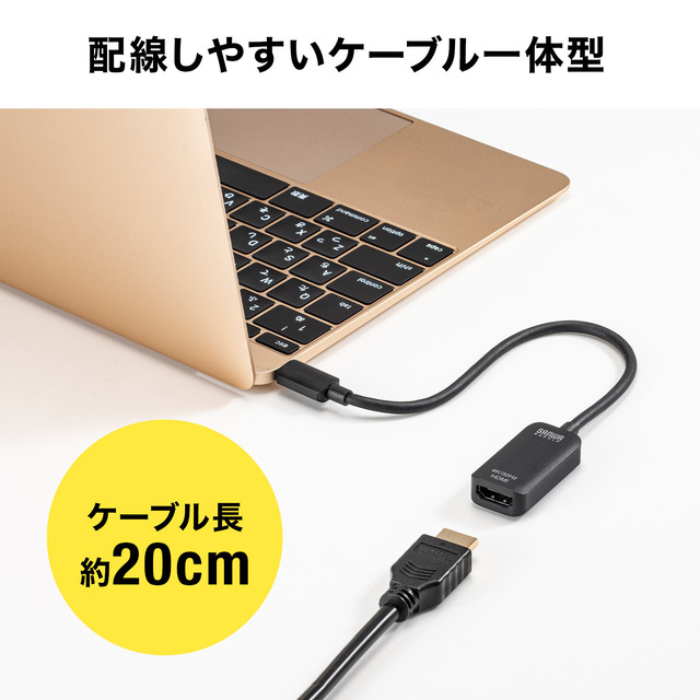 DisplayPort Altmodeに対応したType-CポートをHDMIに変換！映像出力ができる超小型サイズの変換アダプタ