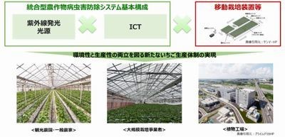 NTT東ら、イチゴを対象にスマート病虫害防除技術確立に向けた実証実験