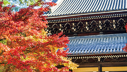 京都・滋賀の紅葉が楽しめる！ 横浜〜神戸を結ぶ客船「ぱしふいっくびいなす」が秋のクルーズ
