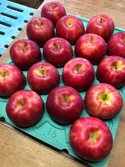 解雇されたツイッター社員へリンゴ農家が求人募集 「アップルの仕事してる、って言えるよ！」「畑で汗流して」