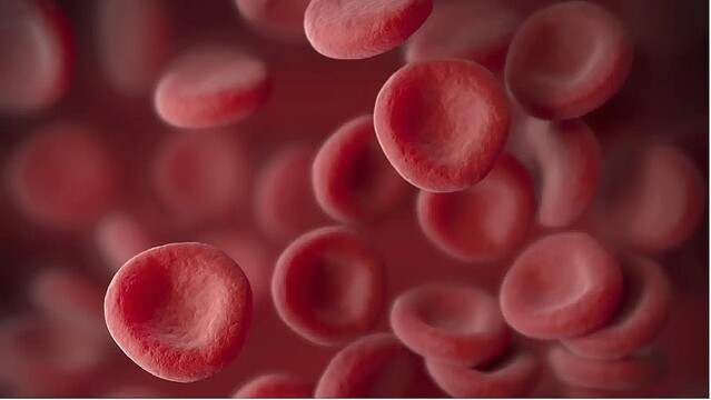 人類初、ラボでつくられた血液細胞が輸血に使われる研究がスタート