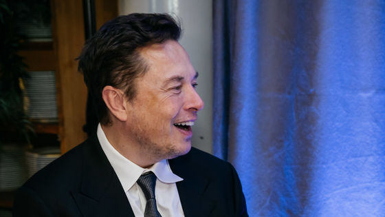 イーロン・マスクが約束・宣言してから何日経過したかまとめて見られる「Elon Musk Today」
