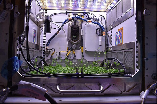 宇宙船内での食料自給へ 植物の宇宙環境適応能力を調査 NASA