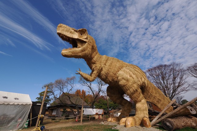 巨大わらかがし、使用したわらは1トン 体長22mのティラノサウルスを編んだ町民の思い