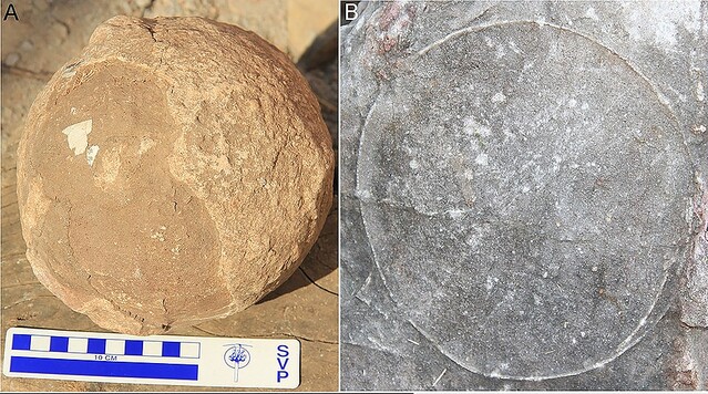 本体の化石は見つからず…インドで大量の恐竜の卵が発見される