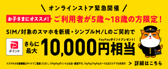 ワイモバイル、5〜18歳ユーザーに最大1万円のPayPayポイント提供キャンペーン