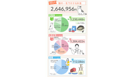 猫の一生にかかるお金は約264万円！「R＆Cマガジン」が飼い主3000人に調査