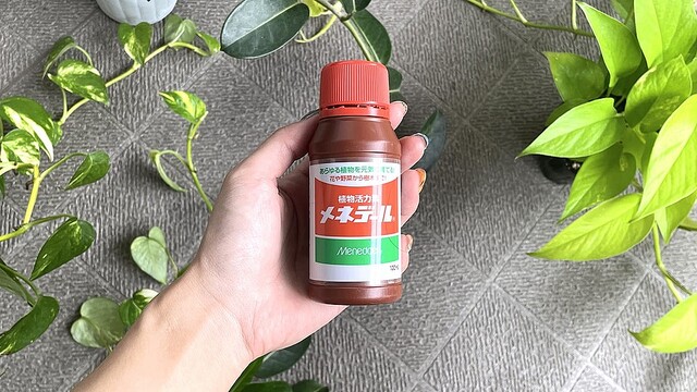 肥料でも農薬でもない「メネデール」が、わが家の植物を元気にしてくれた