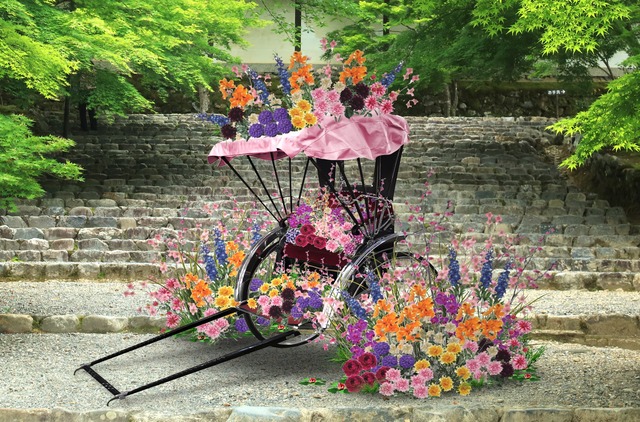 「花咲く人力車」「花の間」が登場！ 「そうだ 京都、行こう。」2023年春のキャンペーン『花咲く京都』