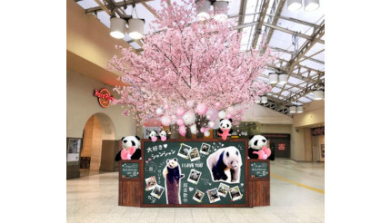 アトレ上野×JR上野駅でシャンシャンがお出迎え！ 「ずぅっと#らぶらぶシャンシャン桜ツリー」開催中