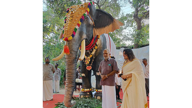 インドの寺院に「ゾウさんロボット」が普及している理由