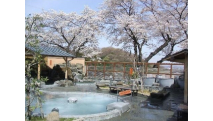 「よみうりランド 丘の湯」が桜イベントを3月21日に開始、2024年1月の営業終了にちなんで