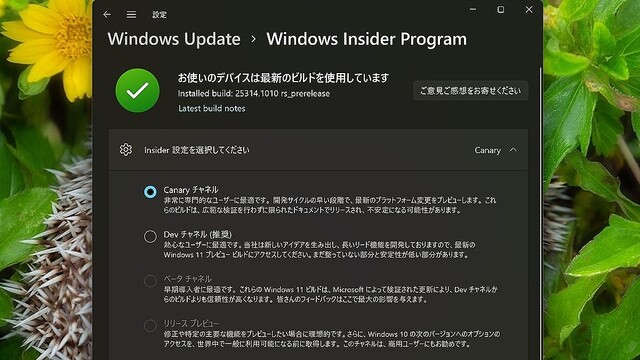 Windows 11ミニTips 第177回 Canaryチャネル参加中だとWindows 11 Insiderを変更できない？