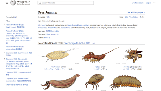 日本語版Wikipediaの編集者で節足動物のイラストを描きまくっている人物「Junnn11」が海外サイトで注目を集める