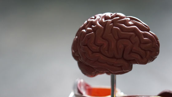 イーロン・マスクの脳インプラント企業「Neuralink」による臨床試験申請がついにFDAに承認される