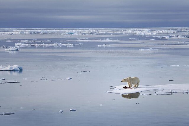 北極圏の海氷の消失時期は2030年代との予想