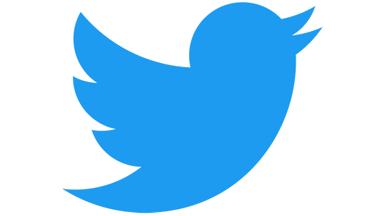 Twitterのトラスト＆セーフティ部門の責任者エラ・アーウィン氏が辞任、イーロン・マスクCEOが指摘したコンテンツモデレーションの不備が原因か