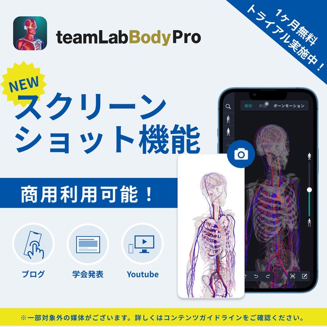 人体画像、動画が、商用利用可能に！チームラボが開発した3D人体解剖学アプリ「teamLabBody Pro」