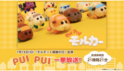 「ニコニコ生放送」で「PUI PUI モルカー」全12話を無料配信