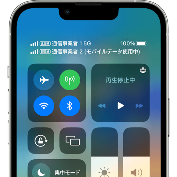 iOS17、デュアルSIM利用でメッセージの自動振り分けと別々の着信音設定が可能に