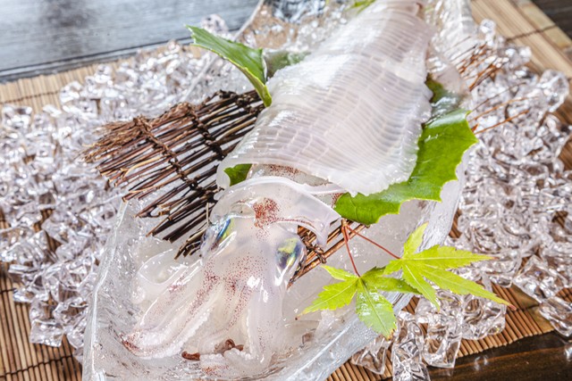 盛り付けられても動く活イカ、観光にイカせ！ 夏の味覚「冬場のカニやカキに次ぐ看板商品に」