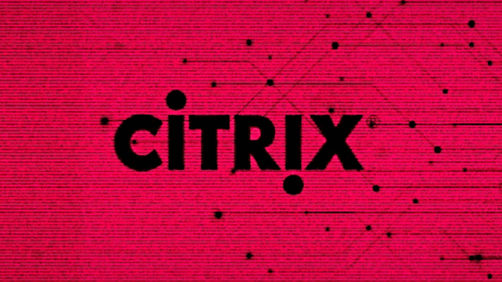 CitrixのNetScaler製品やAdobe ColdFusionに任意コードを実行可能なゼロデイ脆弱性が発見される