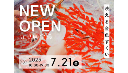 江ノ島で金魚すくいが楽しめる体験型カフェがオープン、夏の風物詩に新たなスポット