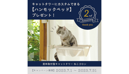 窓枠に取り付けるキャットタワー「ねこゴロン」