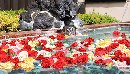 7月の変わり湯は「バラ」、「富士眺望の湯ゆらり」で毎月26日の「お風呂の日」に開催