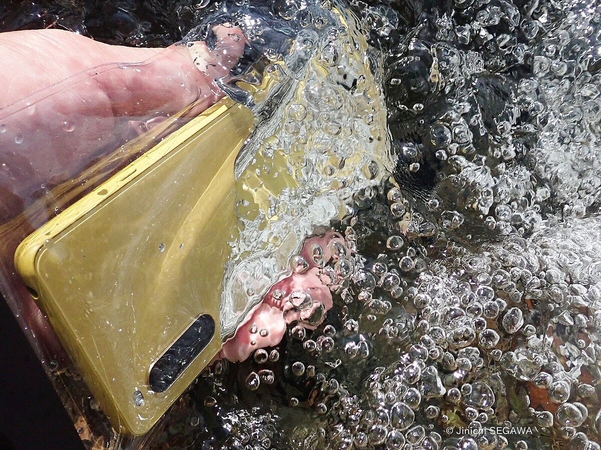 【夏の必須アイテム】100均の防水ケースを使ってスマホで水中撮影してみたら…
