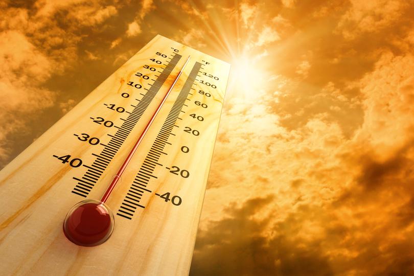 連日40度超えが続くテキサス在住ライターに暑さ対策きいたら、けっこう地味だった