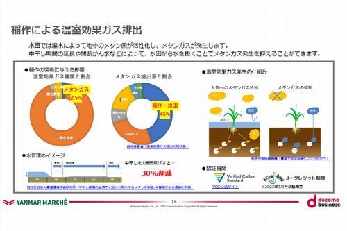 ヤンマー×NTT Com、水稲栽培でメタンガス削減とJ-クレジット創出へ