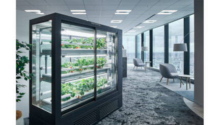 オフィスで「いちご栽培」、日販とオカムラが「植物工場＆職場」のパッケージを開発