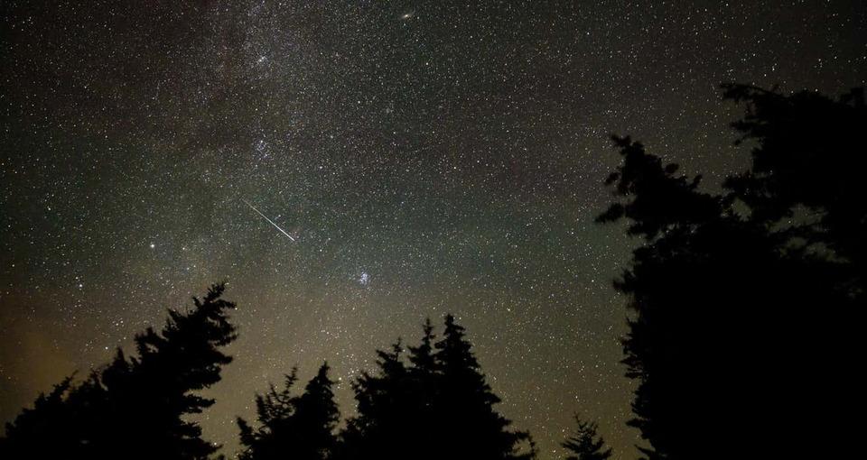 今年のペルセウス座流星群、狙い目は13日の夜だよ！