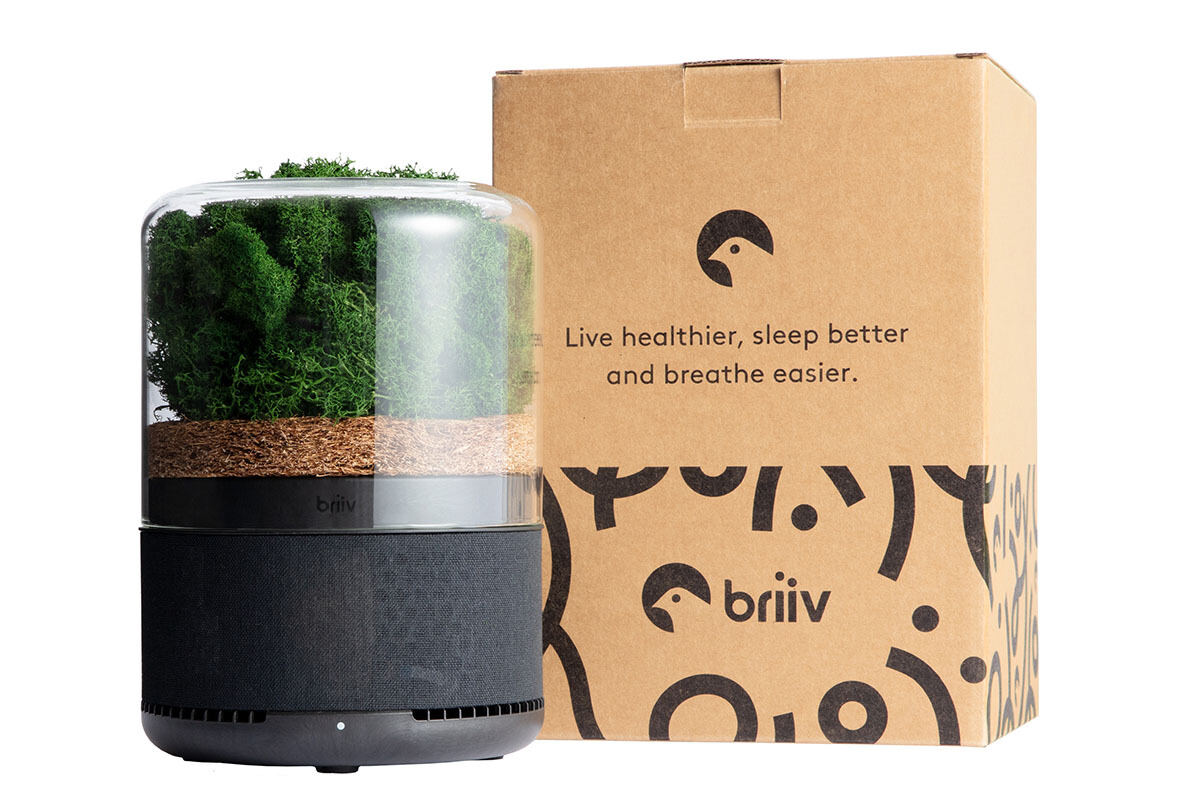 観葉植物みたいな空気清浄機「briiv」パッケージ刷新、付属品増量で8月発売