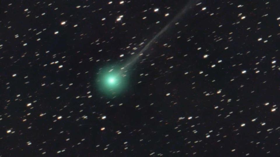 日本のアマチュア天文家が発見した新彗星を見るなら今週がチャンス