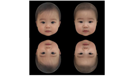 なぜか赤ちゃんの顔の「かわいさ」は、逆さにしても同じように評価